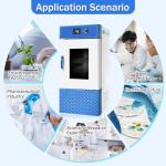 80L Constant Temperature Lab Incubator, Precise Control