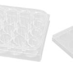 10 Pack Polystyrene Tissue Culture Plates with Lids