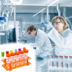 QWORK Jumbo Test Tubes and Liquid Droppers Set