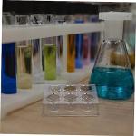 HOLIDYOYO 6-Hole Plastic Reaction Plates Set