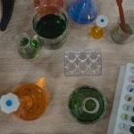 Baluue 10pcs Reaction Plates for Lab Experiments