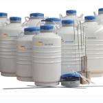 31.5L Portable Liquid Nitrogen Tank with Canisters