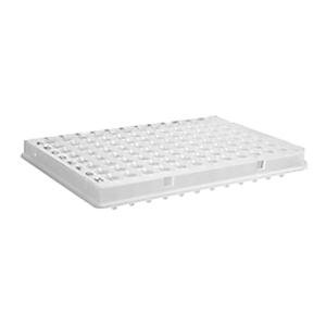 Axygen PCR 96-Well Microplate, Clear, RNase/DNase-Free