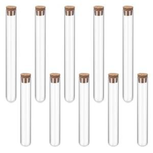 Clear Plastic Test Tubes with Cork Stoppers - 10 Pack