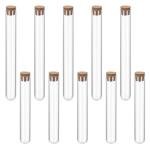 Clear Plastic Test Tubes with Cork Stoppers - 10 Pack