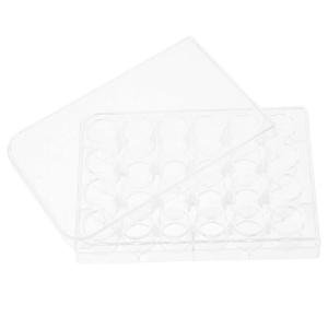 2-Pack 24-Well Tissue Culture Plates for Experiments