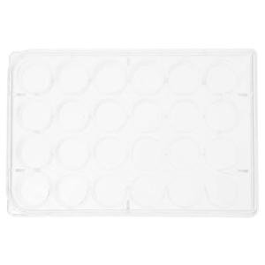 24-Well Cell Culture Plates with Lid - Set of 2