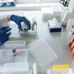 10pcs Sturdy Cell Culture Plates with Lids