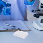 2-Pack 24-Well Tissue Culture Plates for Experiments