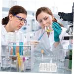 17-Piece Versatile Plastic Chemical Reaction Plate Set