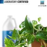 HAVENLAB Deionized Water - Demineralized (1 Gallon) Purification Softener for Washing & Cleaning, Automotive Battery Cooling, Laboratory Equipment, Watering Plants, Agua Desionizada Desmineralizada