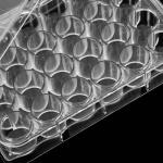 Veemoon 24-Well Tissue Culture Plates - 2 Pack