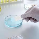 200 Pcs Chromatography Filter Paper Strips 2.95x1.10 Inch