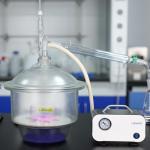 Glass Vacuum Desiccator with Porcelain Plate, 11.8 Inch