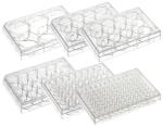 CellPro™ Cell Culture Multi-Well Plates (24 Well Flat,1/pk, 50/cs, Sterile, TC-Treated)