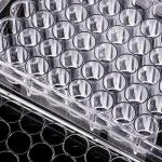 ULTECHNOVO 48 Well Cell Culture Plate Plastic Petri Dish for Lab (12.7 x 8.5 x 2 cm)