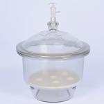 stonylab Glass Vacuum Desiccator with Glass Vacuum Valve and Porcelain Plate ID: 9.4 Inch