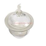 Deschem 120mm Glass Vacuum Desiccator with Valve