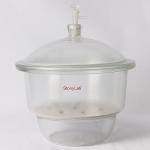 Stonylab Glass Vacuum Desiccator with Valve and Plate