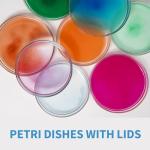 500 Pack Sterile Plastic Petri Dishes with Lids