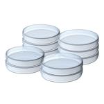 500 Pack Sterile Plastic Petri Dishes with Lids
