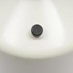 30L Portable Liquid Nitrogen Dewar for Labs