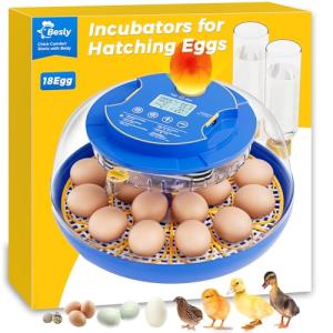 Besly 18 Egg Incubator with Automatic Turning