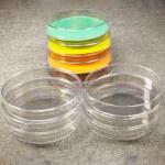 20 Transparent Disposable Petri Dishes - 70mm