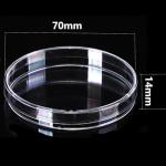 20 Transparent Disposable Petri Dishes - 70mm