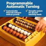 Brinsea Ovation 28 EX Automatic Egg Incubator
