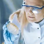 Petri Dishes with Lid 10-Pack, 2.36 Inch