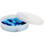 White Small Round Petri Dish - Pack of 2