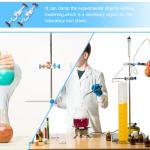 Adjustable Boss Head Clamp Holder for Lab Use