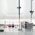 Universal Dish Drying Rack for Laboratory Supplies