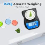 High Precision 600g Digital Lab Balance Scale