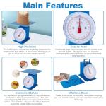 220LB Heavy Duty Mechanical Kitchen Food Scale