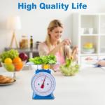 220LB Heavy Duty Mechanical Kitchen Food Scale