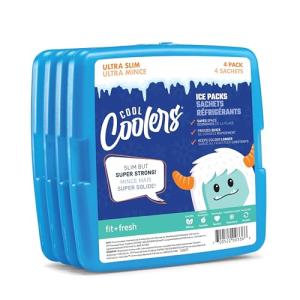 Fit + Fresh 4 Pack Slim Ice Packs