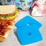 Fit + Fresh 4 Pack Slim Ice Packs