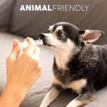 Care Touch 10mL Luer Lock Syringe - 100 Count