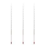 Deschem Glass Celsius Thermometer Set - 0-200℃