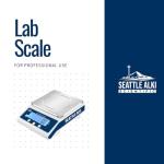 Digital Precision Analytical Balance Scale - 15kg