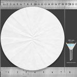 Fluted Filter Paper, 18.5 cm, Pack of 100