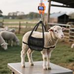 RoMech 660lb Digital Hanging Scale for Outdoors