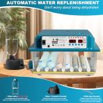 36 Egg Incubator with Automatic Turning and Humidity Control