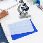 Baluue 4-Piece Microscope Slide Storage Set