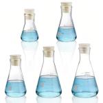 SOUJOY Borosilicate Glass Erlenmeyer Flask Set