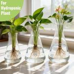 SOUJOY Borosilicate Glass Erlenmeyer Flask Set