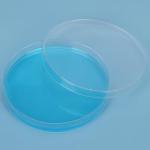 Labasics Disposable Plastic Petri Dishes, 10 Pack