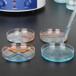 Labasics Disposable Plastic Petri Dishes, 10 Pack